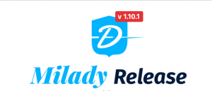 ALT text : le logo de notre newsletter Milady Release
