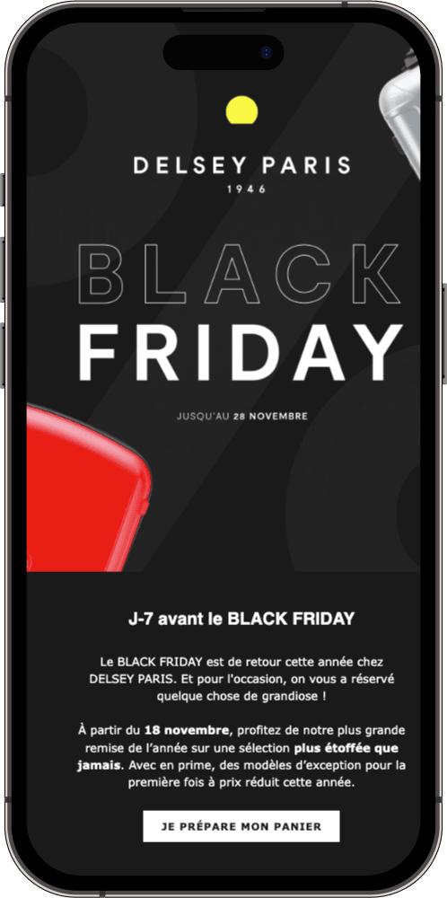 Promotional Black Friday Campaigns